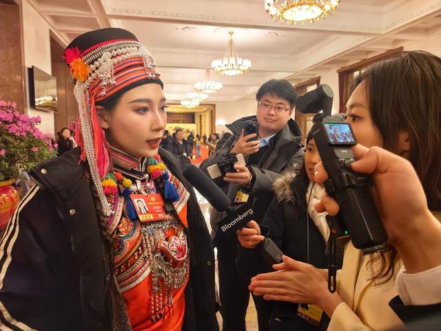 呼吁健全文化遺產(chǎn)領(lǐng)域版權(quán)登記與授權(quán)機制