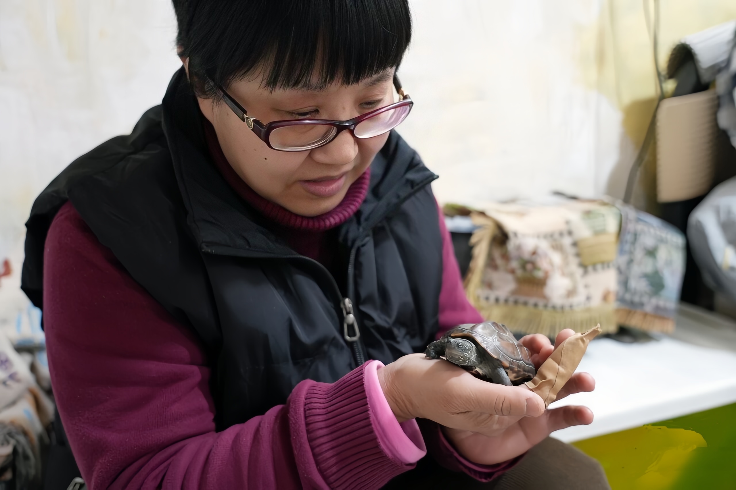 輪椅上的“高產(chǎn)音樂人”:700首歌寫給生活與街巷